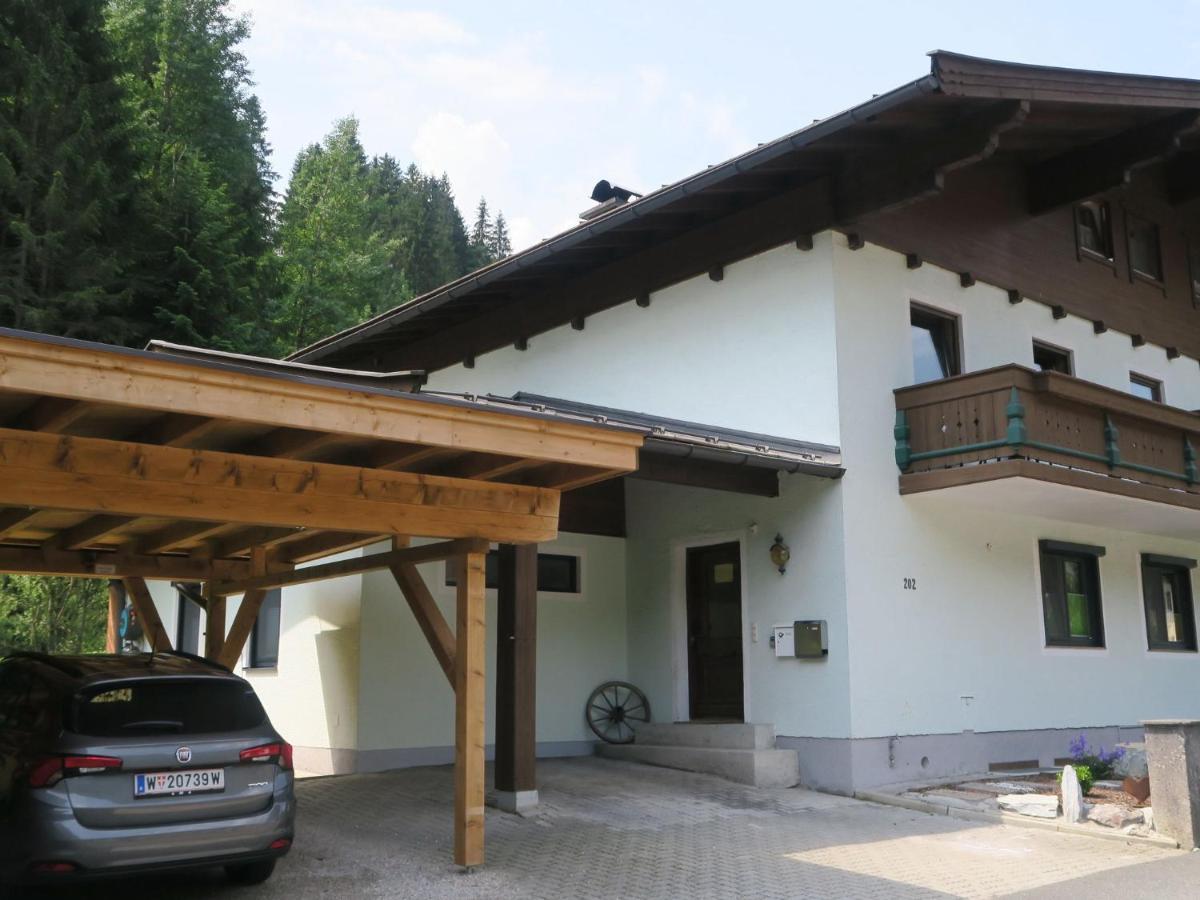 Haus Styler comfortable apartment in Sallbach Hinterglemm Viehhofen Exterior foto